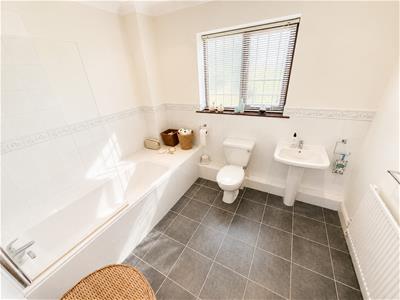 Picture 20